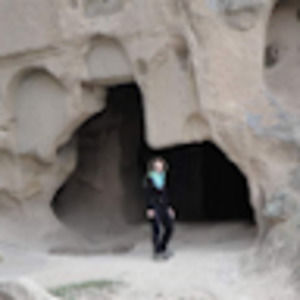 Meet your Posher, Susan